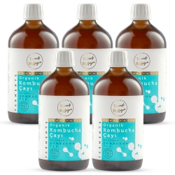 Fermente Mutfağım - 5 Pack Organic Kombucha Tea (1)