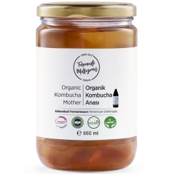 Fermente Mutfağım - Organik Kombucha Anası (Scoby) 600 ml