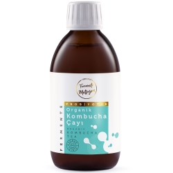 Organik Kombucha Çayı 250 ml - Thumbnail