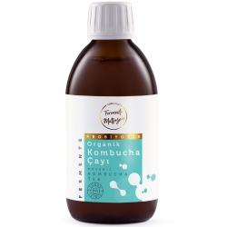 Organik Kombucha Çayı 250 ml - Fermente Mutfağım